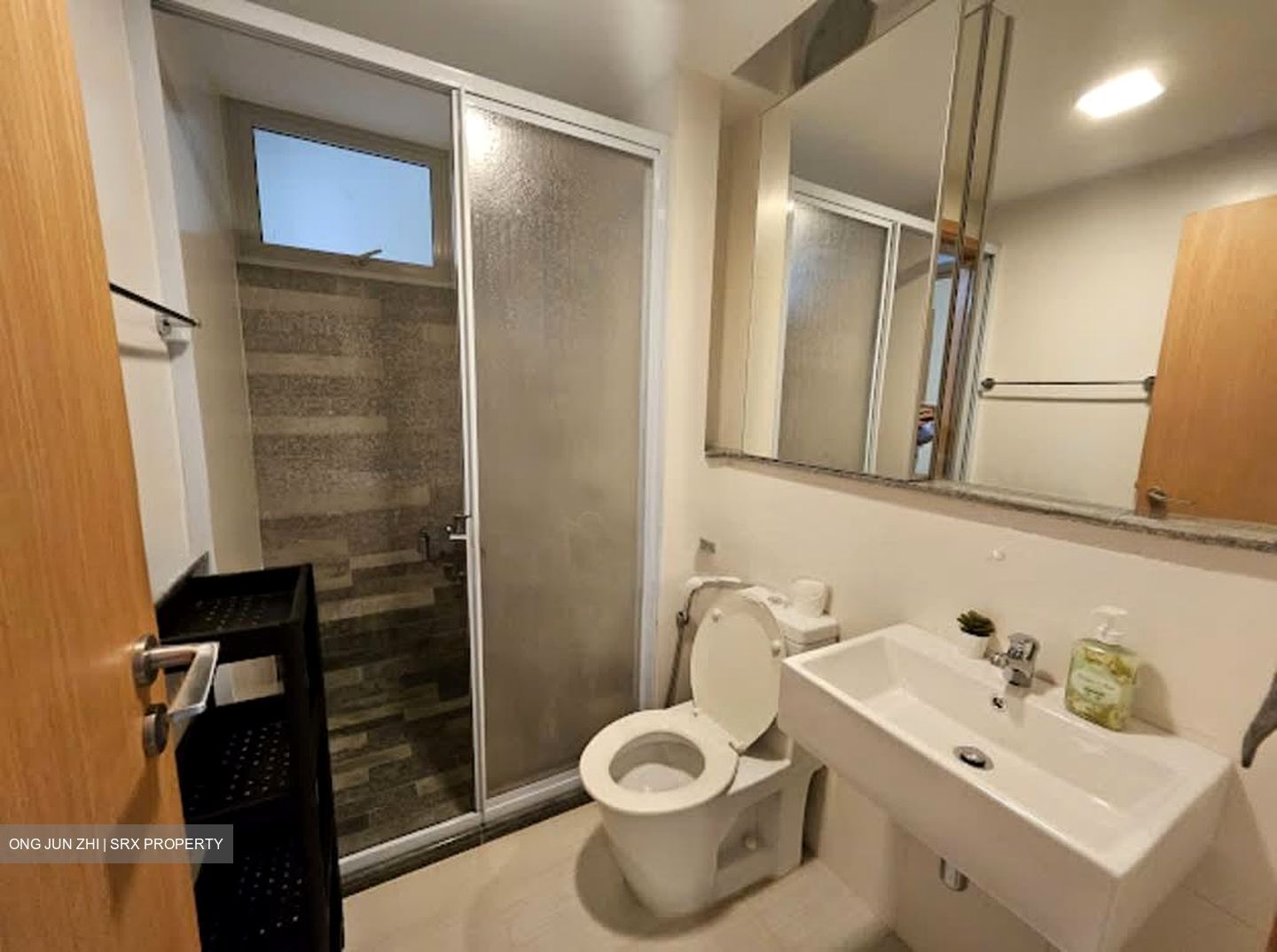 8 @ Mount Sophia (D9), Condominium #562192291